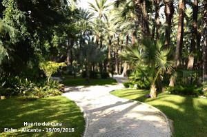 19 ELCHE HUERTO DEL CURA (49)